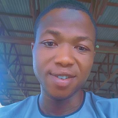 Backend developer.
I build with FastAPI | Node.js 🟥🟥🟥