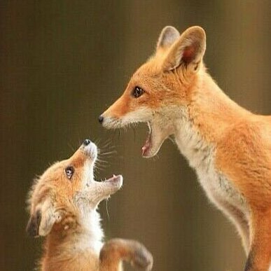 gun9999996's profile picture. 