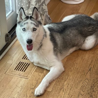 Trubble07's profile picture. 