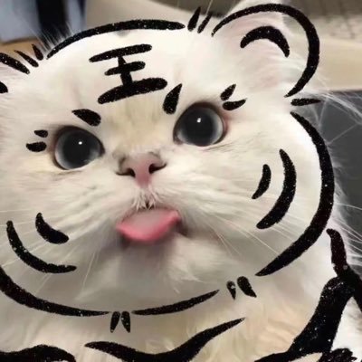 别看了，什么也没有。🚪0.5💰