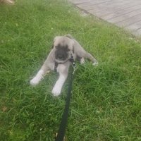 blackblack (@blackbl28459887) 's Twitter Profile