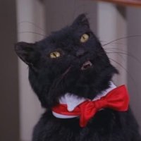space_dot (@space_dot) 's Twitter Profile