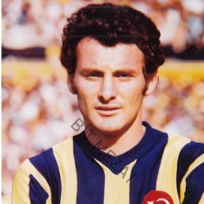 Fenerbahçe sevdalısı/Fenerbahçe Sk Kongre Üyesi
