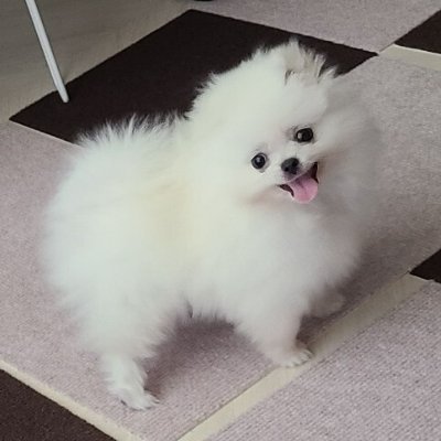 aria8520's profile picture. 계시록의 예언이 성취된 신천신지 (계21장)

💕신청번호: 020113
💕무료성경 수강신청: https://t.co/KH9irdSmlm
💕신천지공식 유튜브 채널 : https://t.co/6nuofMUfiL

💕무료성경교육 신청 https://t.co/Ob1H1cqhwG