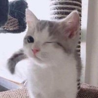 gudy (@itzjudy_) 's Twitter Profile