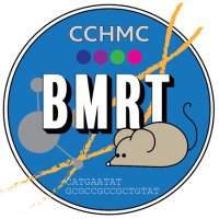Biomedical Masters in Research Technologies (BMRT) (@bmrtcchmc) 's Twitter Profile Photo