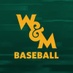 William & Mary Tribe Baseball (@WMTribeBaseball) Twitter profile photo