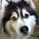 Harrison Moore - @whmsoutherntide - Twitter