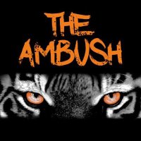 Doane Ambush (@doaneambush) 's Twitter Profile