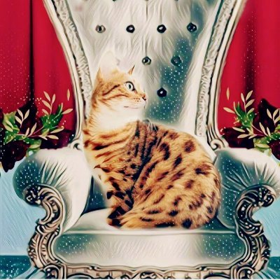 laStefy05's profile picture. Il mondo è nelle mani di coloro che hanno il coraggio di sognare e di correre il rischio di vivere i propri sogni.
@juventus addicted@DM Devoted@growing-up girl