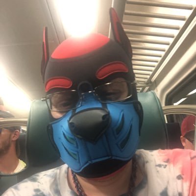 Pup Anakin