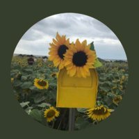 チョビ (@ninonono_617) Twitter profile photo