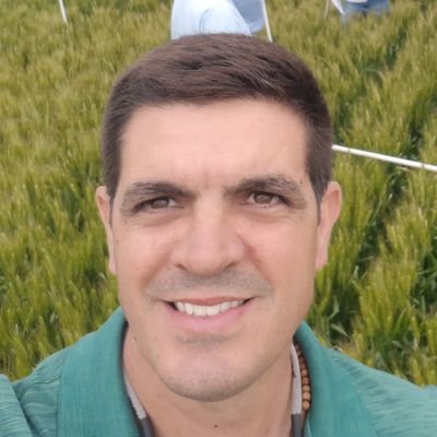 ClaudioFMenna's profile picture. 