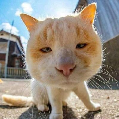 ` و أنّ إلى رَبكَ المُنتهَى `
أسألكم الدعاء ل أبي بالرحمه و المغفره