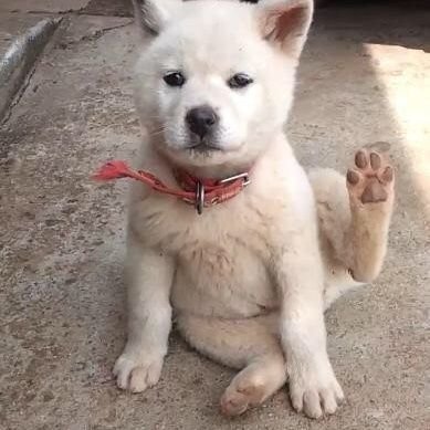 ByeolhaengU's profile picture. 소누🧡💚