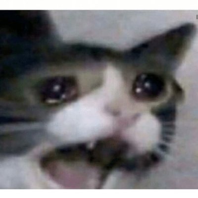 SucksWebull's profile picture. Webull is violating federal law