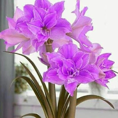 ushaksharma71's profile picture. 