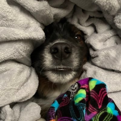 Just a Texas girl using Twitter for good, entertainment, and contests! Learning NFTs & Crypto..