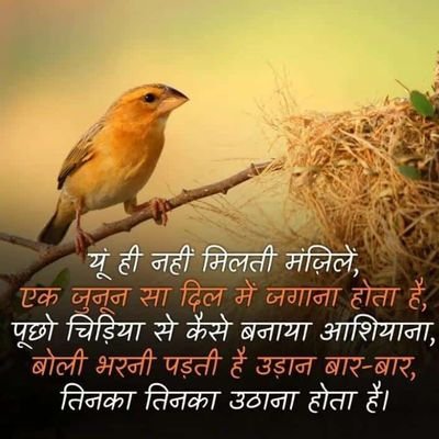 neminchandraka5's profile picture. Special educater