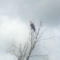 Mommsie (@bethtillberg) 's Twitter Profile Photo