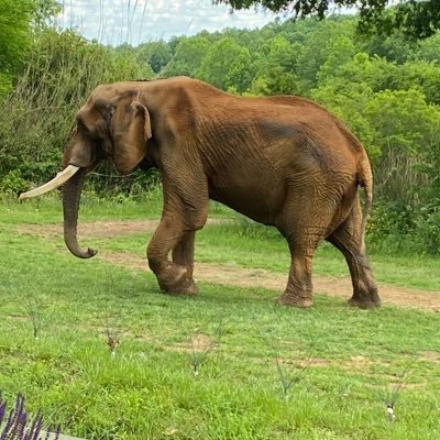 sandsaladsand's profile picture. Twitter user