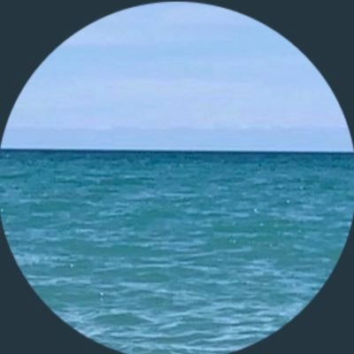 Sue_Voted's profile picture. Here for jokes, politics, and dog pics. Anti-Racist.