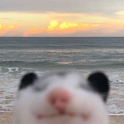 kirbstains's profile picture. 