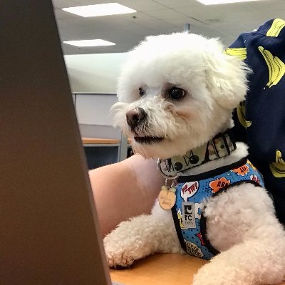 @SimpaticoNYC Lead Developer who loves accessible & semantic HTML/CSS/WordPress. World traveler, avid reader, obsessive knitter, mother of bichons, plant lady.