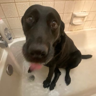 proballb0y's profile picture. i’m really on here like 3 times a month