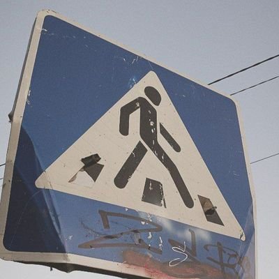 Golub_Viktor_'s profile picture. націоналістичний голуб