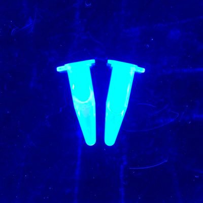 TampaAbe's profile picture. Bringing biotechnology & science education to the classroom! Based at the University of South Florida.