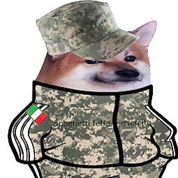 GGaribaldi1861's profile picture. Proud Italian, European patriot, quite a nerd, pro NATO, I am here for Ukraine because freedom ain't free.  No DM.