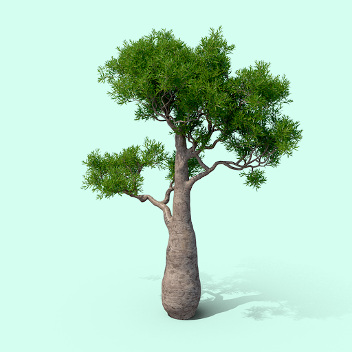 treeworld.eth 🌱🌿☘️さんのプロフィール画像