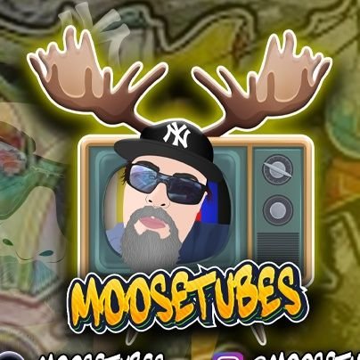 MOOSETUBE_ Profile Picture