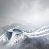 ExtraVOD (@extriavod) 's Twitter Profile