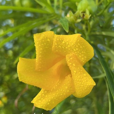 mymy31890953's profile picture. من يعيش في خوف لن يكون حُراً ابدا❤️