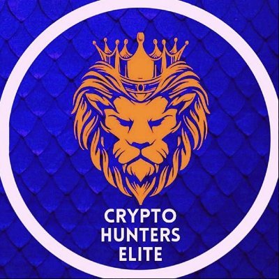 Crypto Hunters Elite Profile