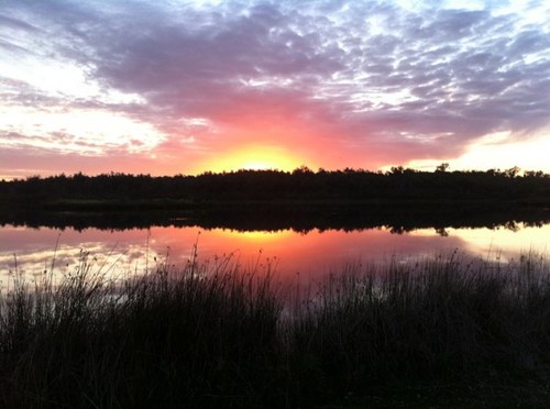 ingrid4parks's profile picture. environmental horticulturist - promoting the enviro, social, cultural and economic role of parks. Promoting community engagement in caring for the environment.