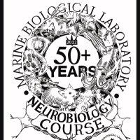 Neurobiology Course (@mblneuro) 's Twitter Profile Photo Neurobiology Course (@mblneuro) 's Twitter Profile Photo