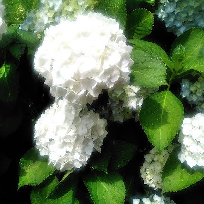 hLYurswt2C4fVgY's profile picture. 