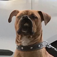 borsabyk (@borsatakipbyk) 's Twitter Profile