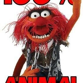 AnimalOtc's profile picture. OTC trader, my opinions only