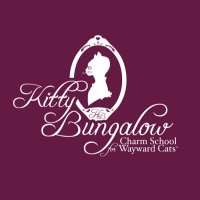 Kitty Bungalow(@kittybungalow) 's Twitter Profileg