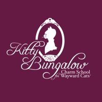 Kitty Bungalow (@kittybungalow) 's Twitter Profile Photo