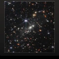 alakazam (@maurolaspada10) 's Twitter Profile