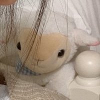 kbhmk1's profile picture. すでき好がラコ木乃