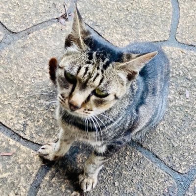 いろいろさんのプロフィール画像