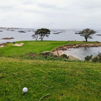 Janoglez's profile picture. Walking through here. Personal opinions