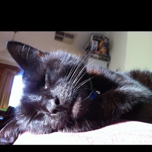 JaxAbikhair's profile picture. 