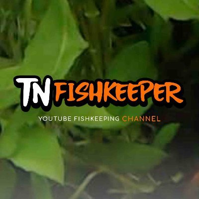 Aquatics, Information, Live Streams & Videos #AQUATICS #FISHCAM #PETS